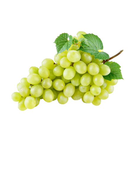 Vikend akcija