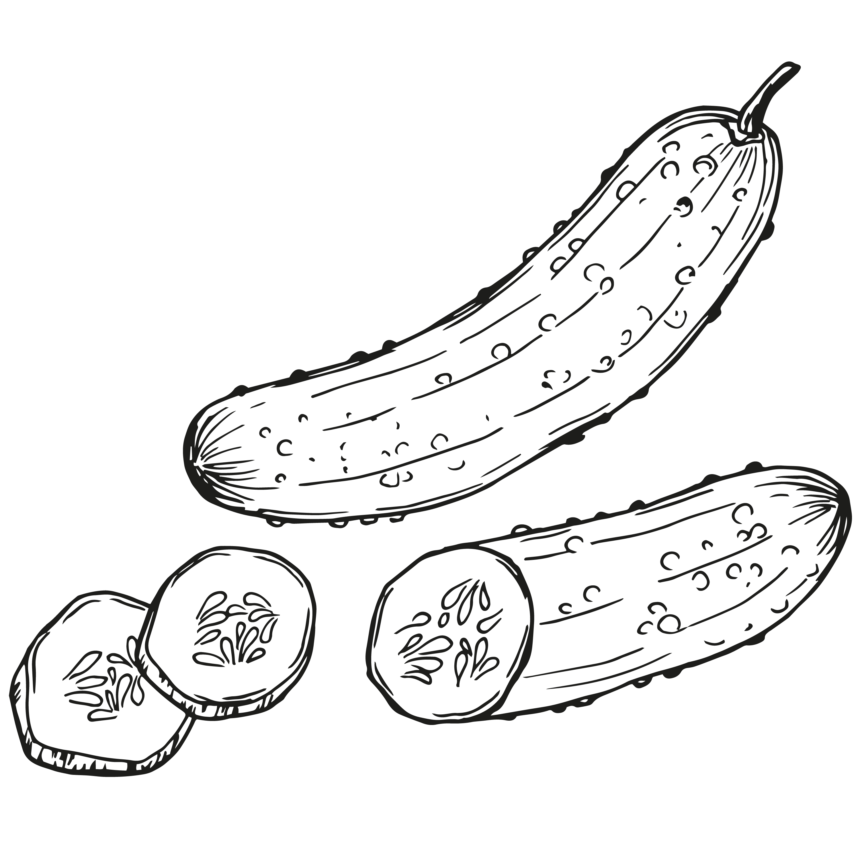 Zimnica